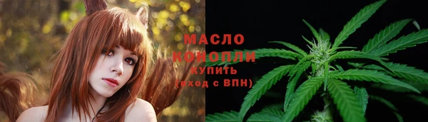 мдпв Дмитровск