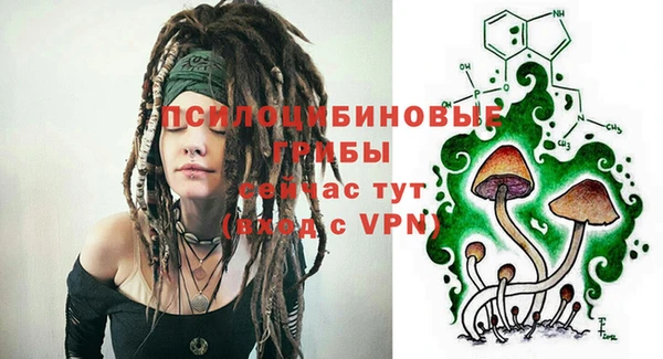mix Елабуга