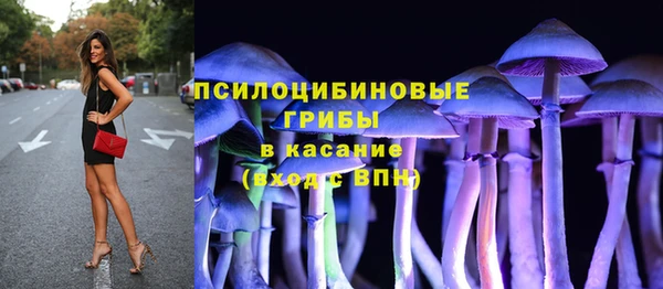 MESCALINE Ельня