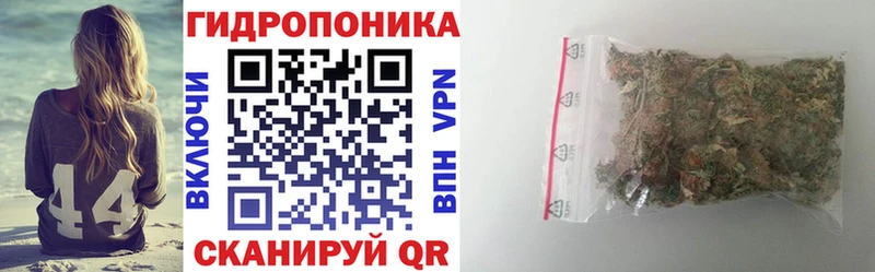 Каннабис OG Kush  где можно купить   Закаменск 